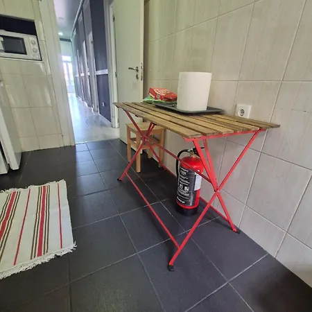 Visita Int ホームステイ