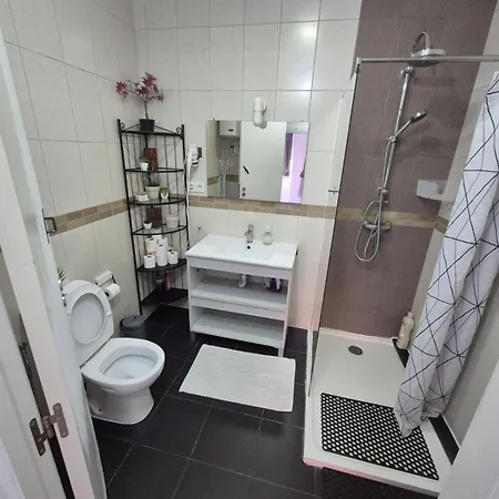 ホームステイ Visita Int