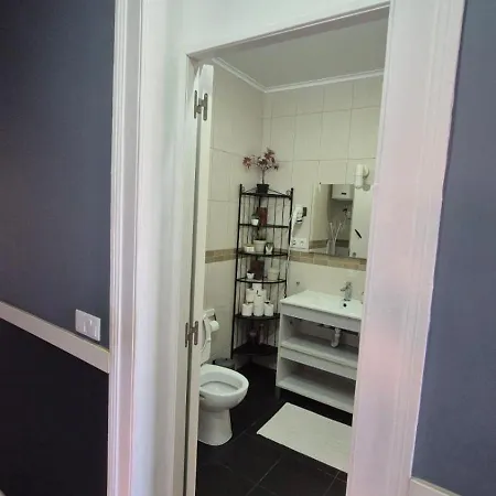 Visita Int ホームステイ *